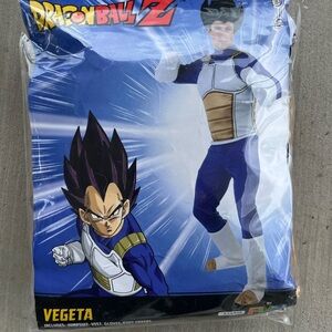 Dragon Ball Z Vegeta Costume